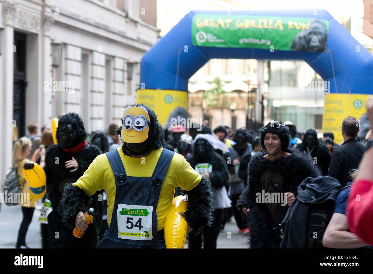 Londres, Royaume-Uni. 19 Sep 2015. Le Great Gorilla Run run d'un organisme de bienfaisance au profit de l'Organisation des gorilles, Londres, Angleterre. Crédit : Simon Balson/Alamy Live News Banque D'Images