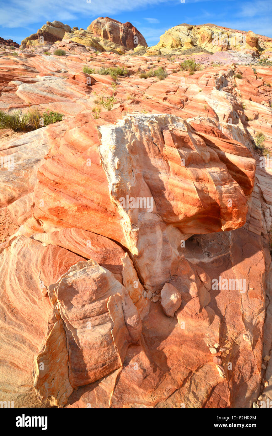 Grès colorés, des formes ondulées et des dunes dans la Vallée de Feu State Park à Southeaster Nevada, 50 miles au nord de Las Vegas Banque D'Images