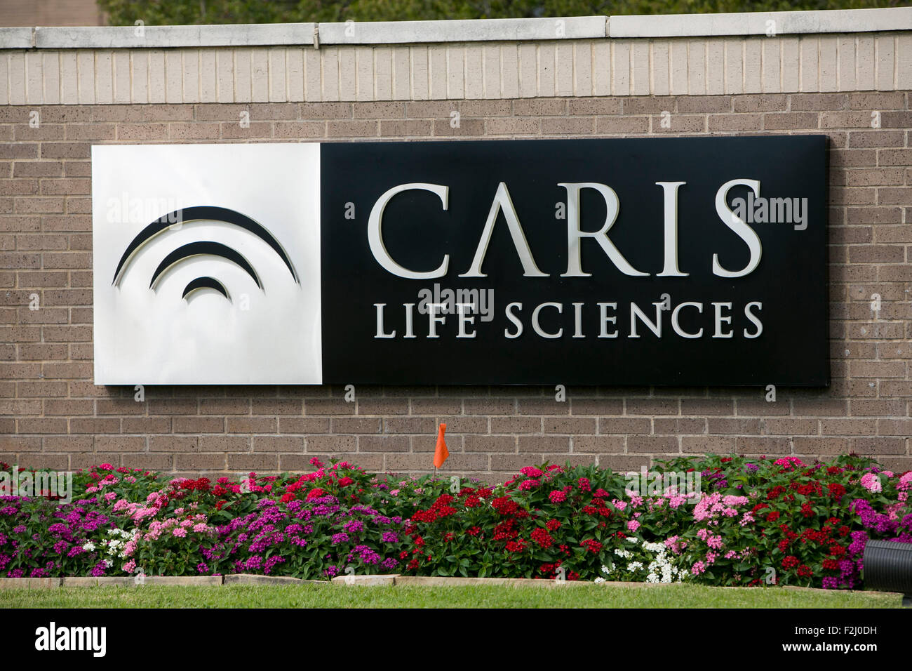Un logo affiche à l'extérieur du siège de Caris Life Sciences à Irving au Texas le 13 septembre 2015. Banque D'Images