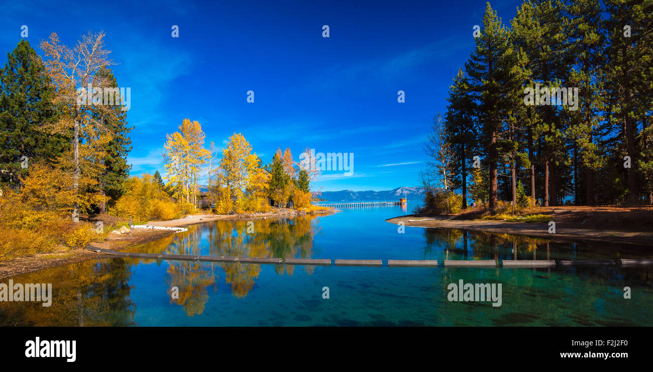 Reflet des arbres sur l'eau, Tahoe City, Lake Tahoe, California, USA Banque D'Images