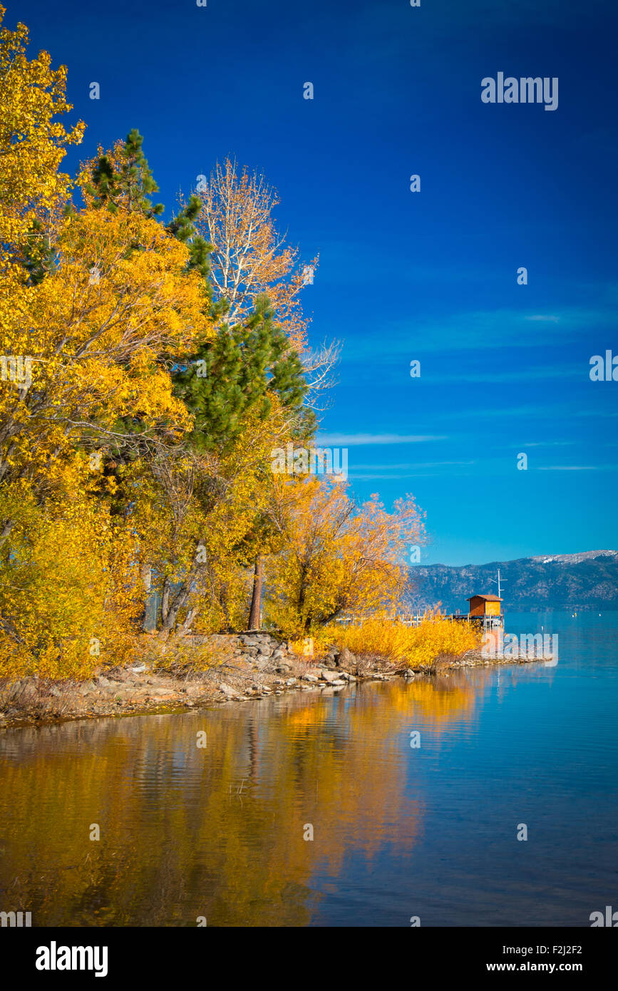 Reflet des arbres sur l'eau, Tahoe City, Lake Tahoe, California, USA Banque D'Images