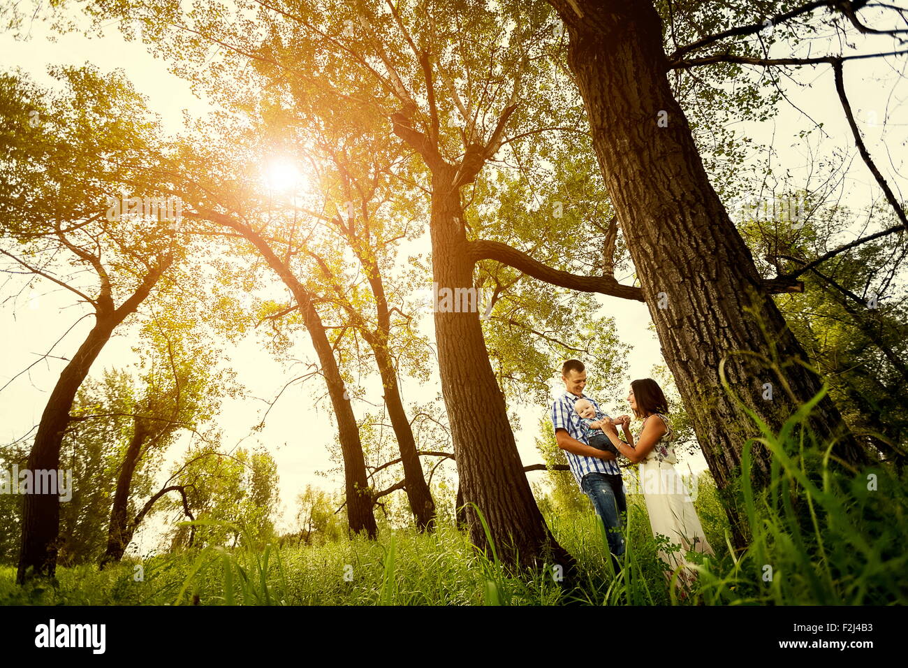 Homme et une femme tenant un bébé dans ses bras dans une forêt d'été à sunny day Banque D'Images