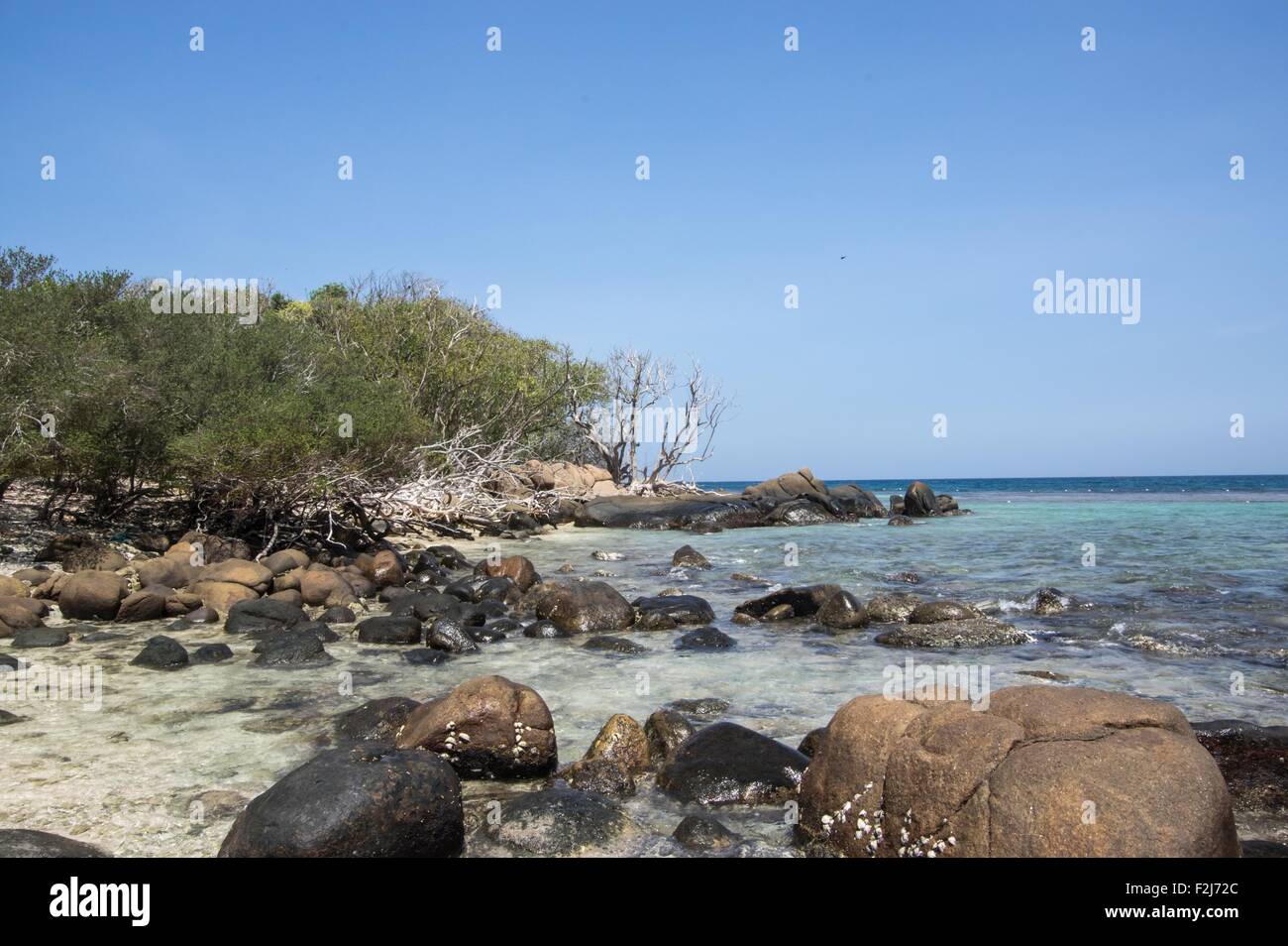 Des pierres sur la plage de l'île Pigeon au Sri Lanka Banque D'Images