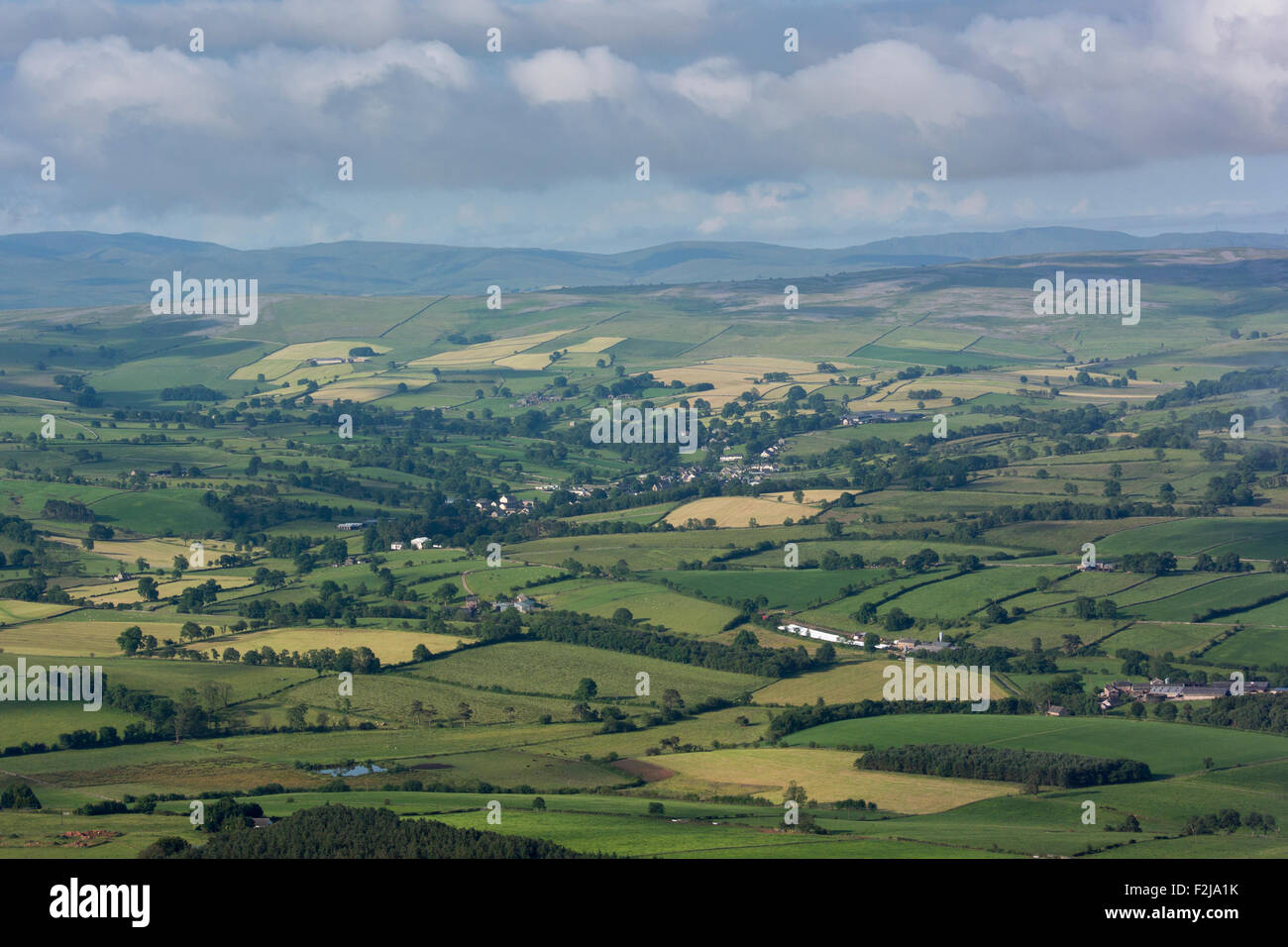 Paysage dans l'Eden Valley, Cumbria, montrant les terres agricoles et les bois de l'air. Banque D'Images