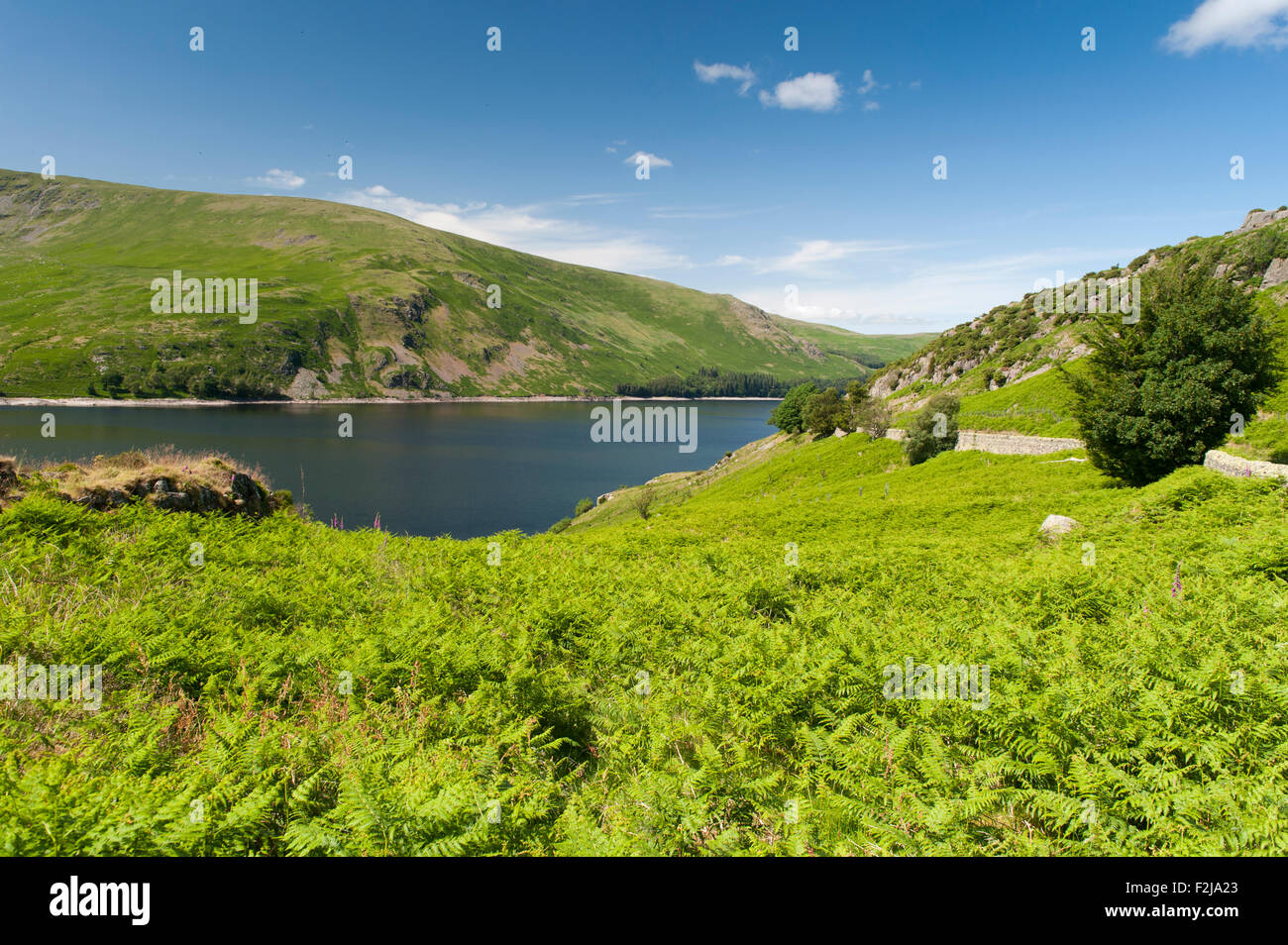 Haweswater réservoir dans le Lake District. , Cumbria (Royaume-Uni), au début de l'été. Banque D'Images