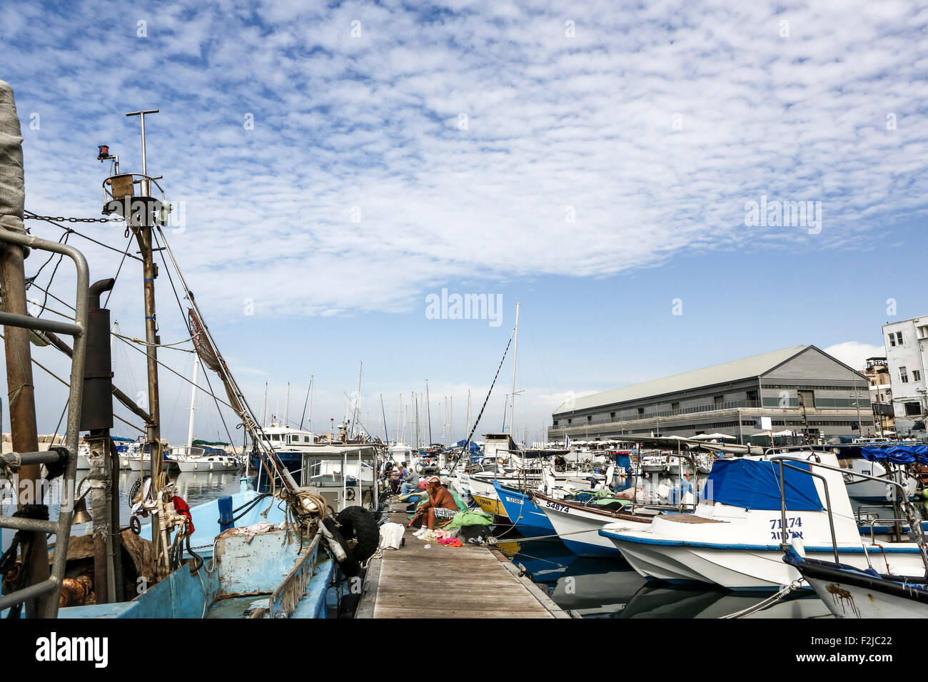 D'ISRAËL, Jaffa, bateaux de pêche dans l'ancien port Banque D'Images
