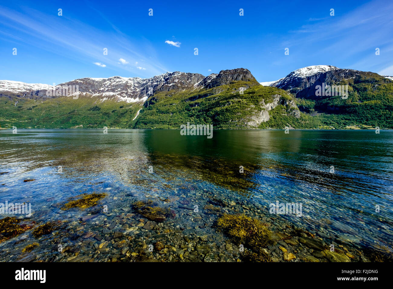 Belle Nature Norvège paysage naturel. Banque D'Images