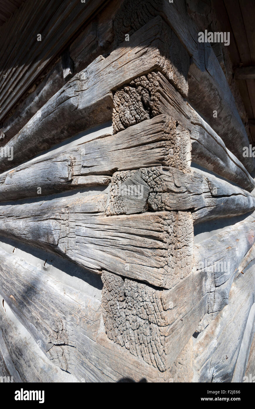Détail de l'angle journal Osterhout Log Cabin. Construit en 1795 il est le plus ancien bâtiment de Scarborough Ontario Canada. Banque D'Images