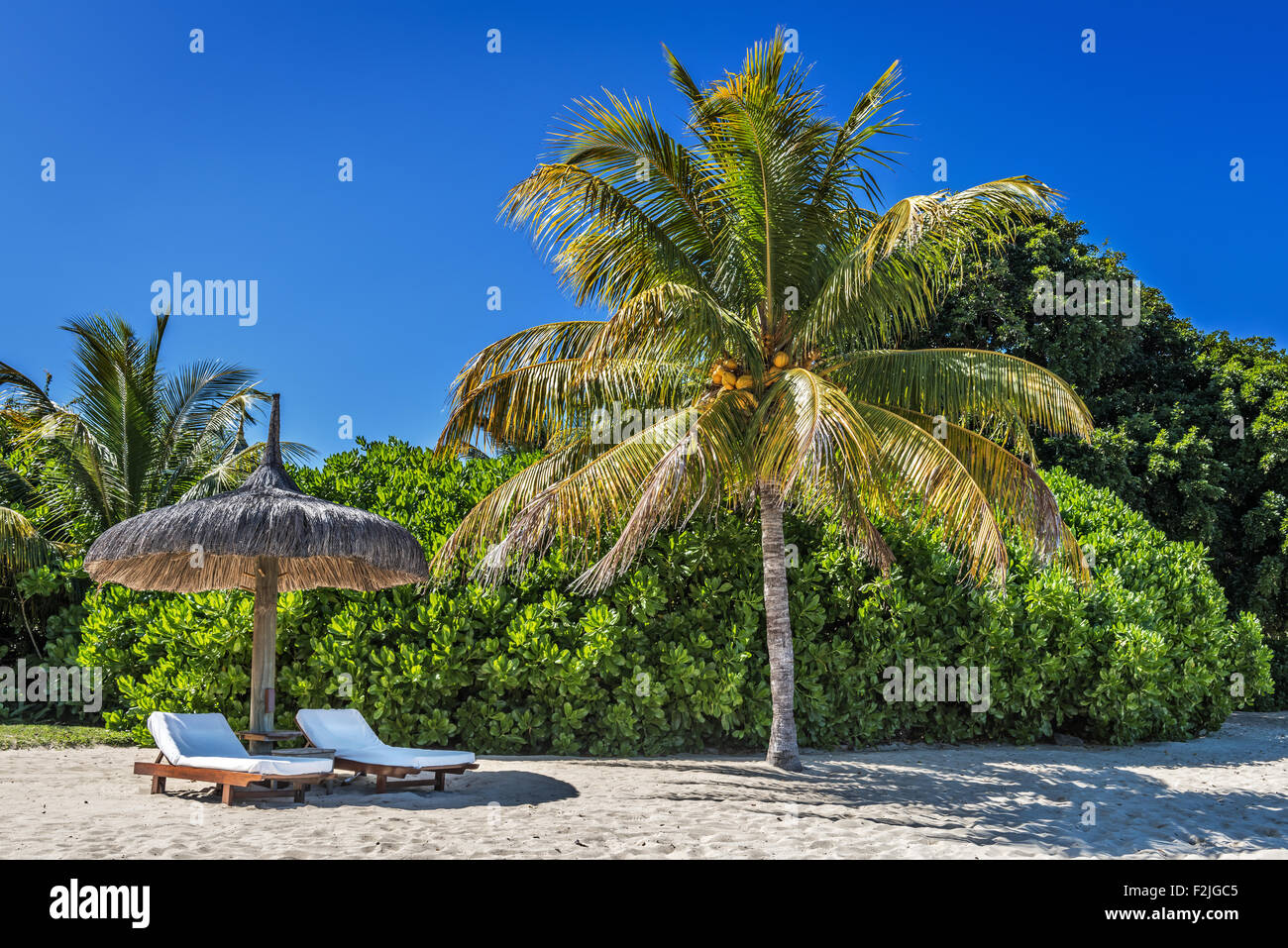 Chaises longues et parasol sur la plage tropicale à l'Ile Maurice, océan Indien Banque D'Images