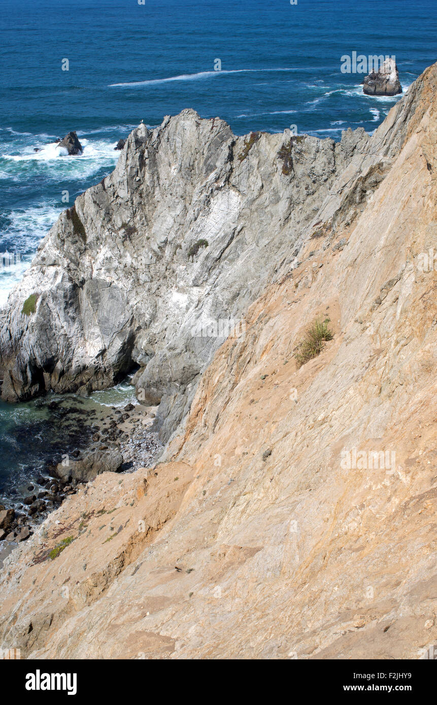 Bodega head Peninsula au large de la côte pacifique de la Californie et rive rocheuse de Sonoma Coast state park Banque D'Images