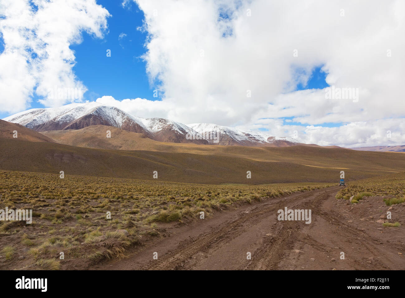 Panorama de l'altiplano bolivien avec voiture en mouvement Banque D'Images