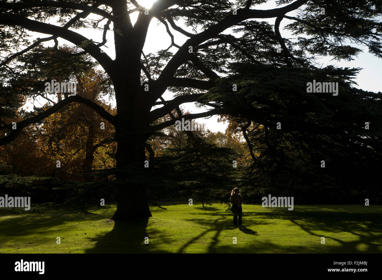 Parc avec femme à Osborne House Isle of Wight Angleterre UK Banque D'Images