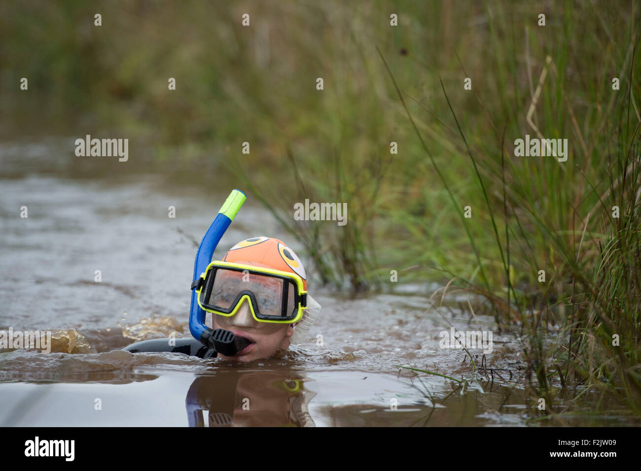 Le monde Bog Snorkelling Championships tenue à Waen Rhydd Bog le 30 août 2015 à Llanwrtyd Wells, Mid Wales. Banque D'Images