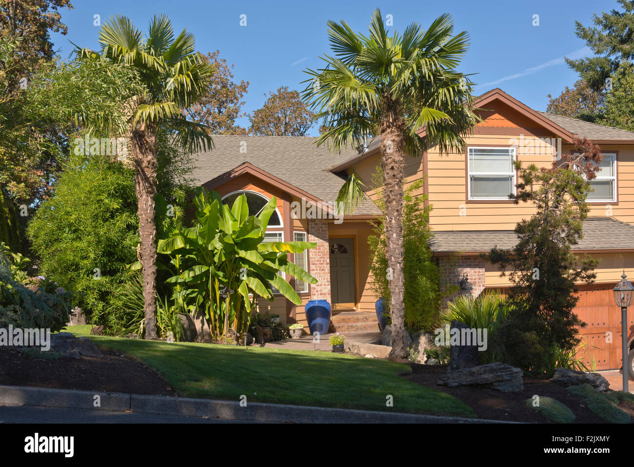 Maison tropicale avec des bananiers et des palmiers de l'Oregon. Banque D'Images