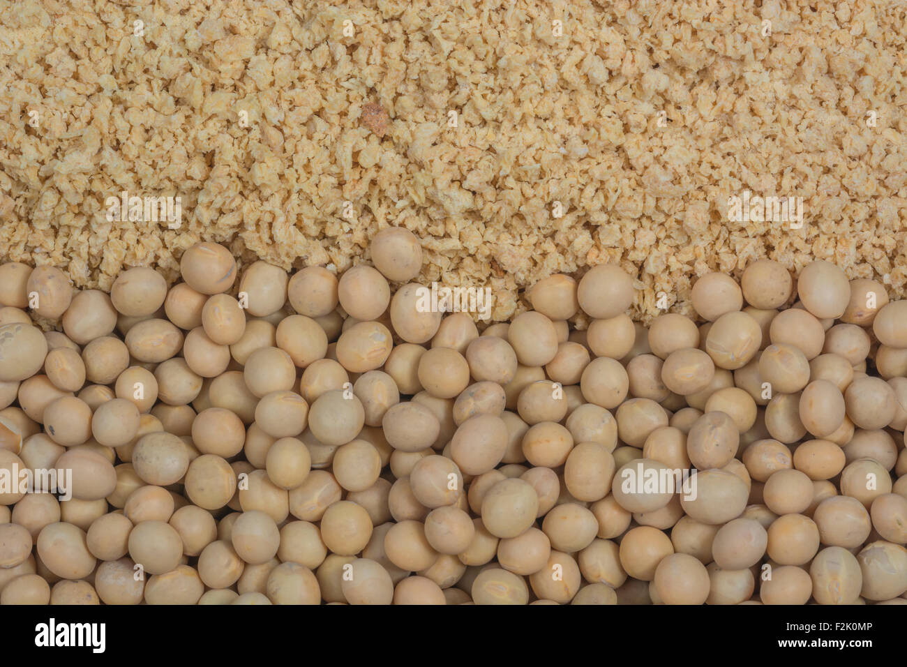 Gros plan de soja sec / soja et repas de soja - utilisé dans la nourriture végétarienne / la cuisine. Le soja est aujourd’hui au centre de la guerre des droits commerciaux entre les États-Unis et la Chine. Produits de soja. Banque D'Images