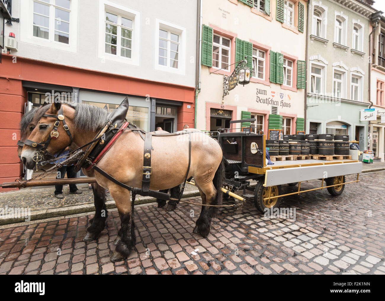 Barils de Ganter Pils Pilsner livré par cheval sur les rues pavées de Freiburg, Allemagne Banque D'Images