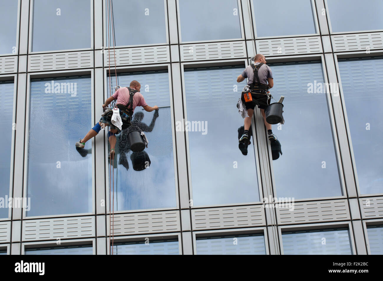 Deux accès sur corde (rope) Nettoyage Nettoyer les vitres dans un immeuble de bureaux dans la place Charles à Prague, République tchèque. Banque D'Images