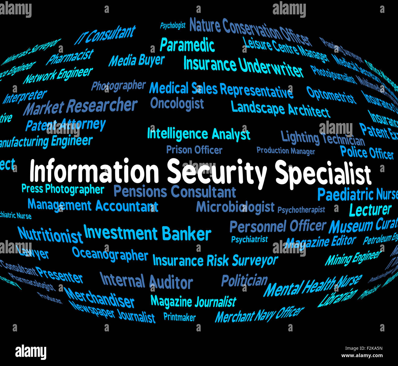 Spécialiste de la sécurité de l'information Sens du métier et Pro Banque D'Images