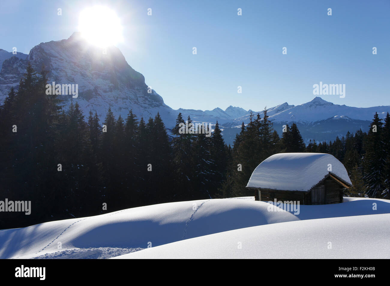 Heybarn alpin en hiver, Mt. Eiger, Grindelwald, Oberland Bernois, alpes Suisse Banque D'Images