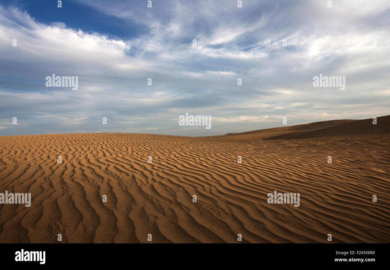 Des dunes, des dunes de sable de Maspalomas, la formation des nuages, des structures dans le sable, lumière du soir, réserve naturelle, Gran Canaria Banque D'Images