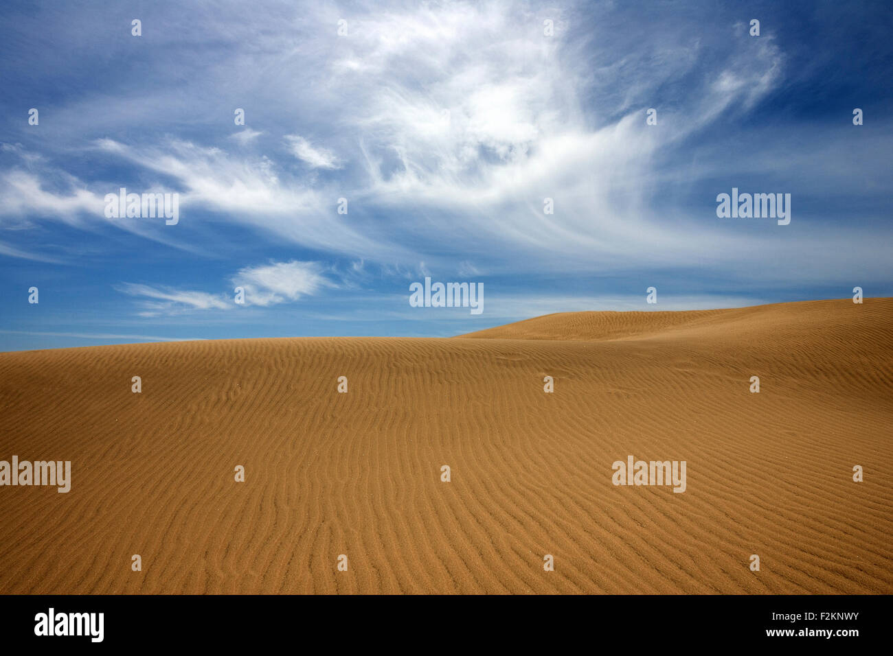 Des dunes, des dunes de sable de Maspalomas, la formation des nuages, des structures dans le sable, réserve naturelle, Gran Canaria, Îles Canaries, Espagne Banque D'Images