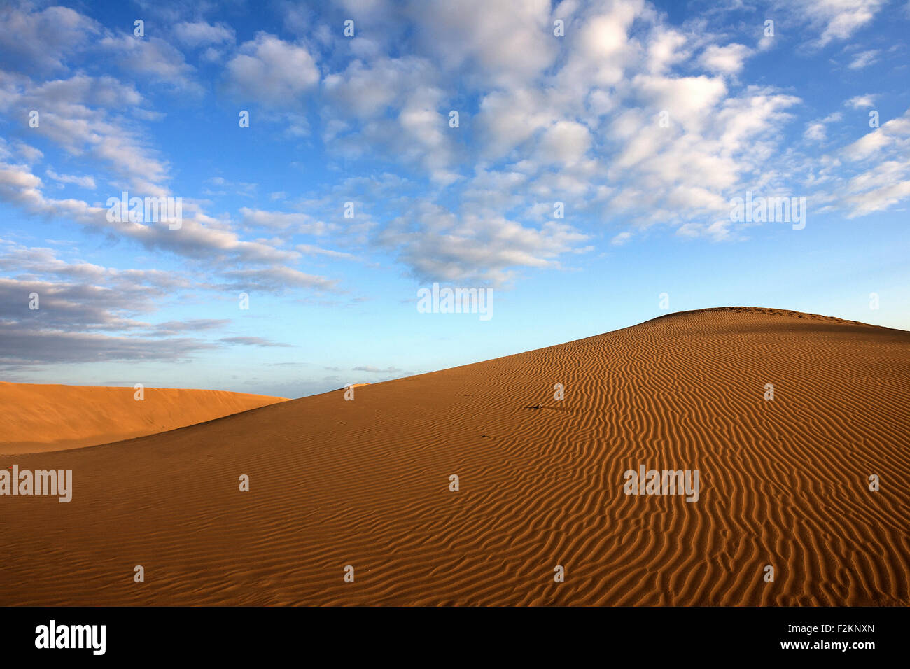 Des dunes, des dunes de sable de Maspalomas, la formation des nuages, des structures dans le sable, lumière du soir, réserve naturelle, Gran Canaria Banque D'Images