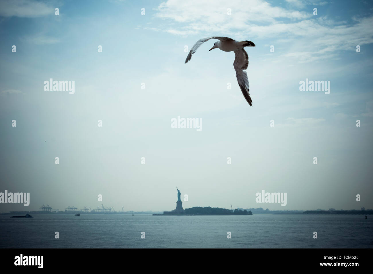 USA, New York City, Seagull volant dans le ciel avec Statue de la liberté en arrière-plan Banque D'Images