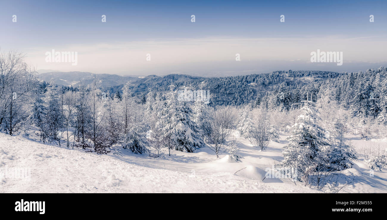 Allemagne, Bade-Wurtemberg, Forêt-Noire, la neige paysage, panorama Banque D'Images