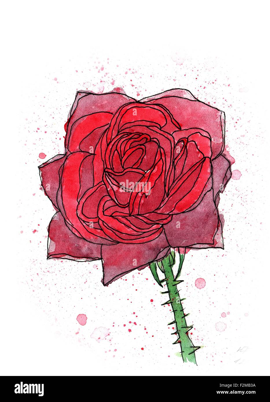 Fleur Rose aquarelle fait main, isolated on white Banque D'Images