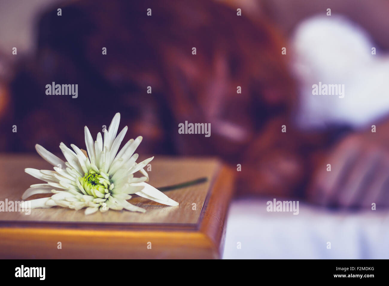 Fleur sur table de nuit avec man in background Banque D'Images