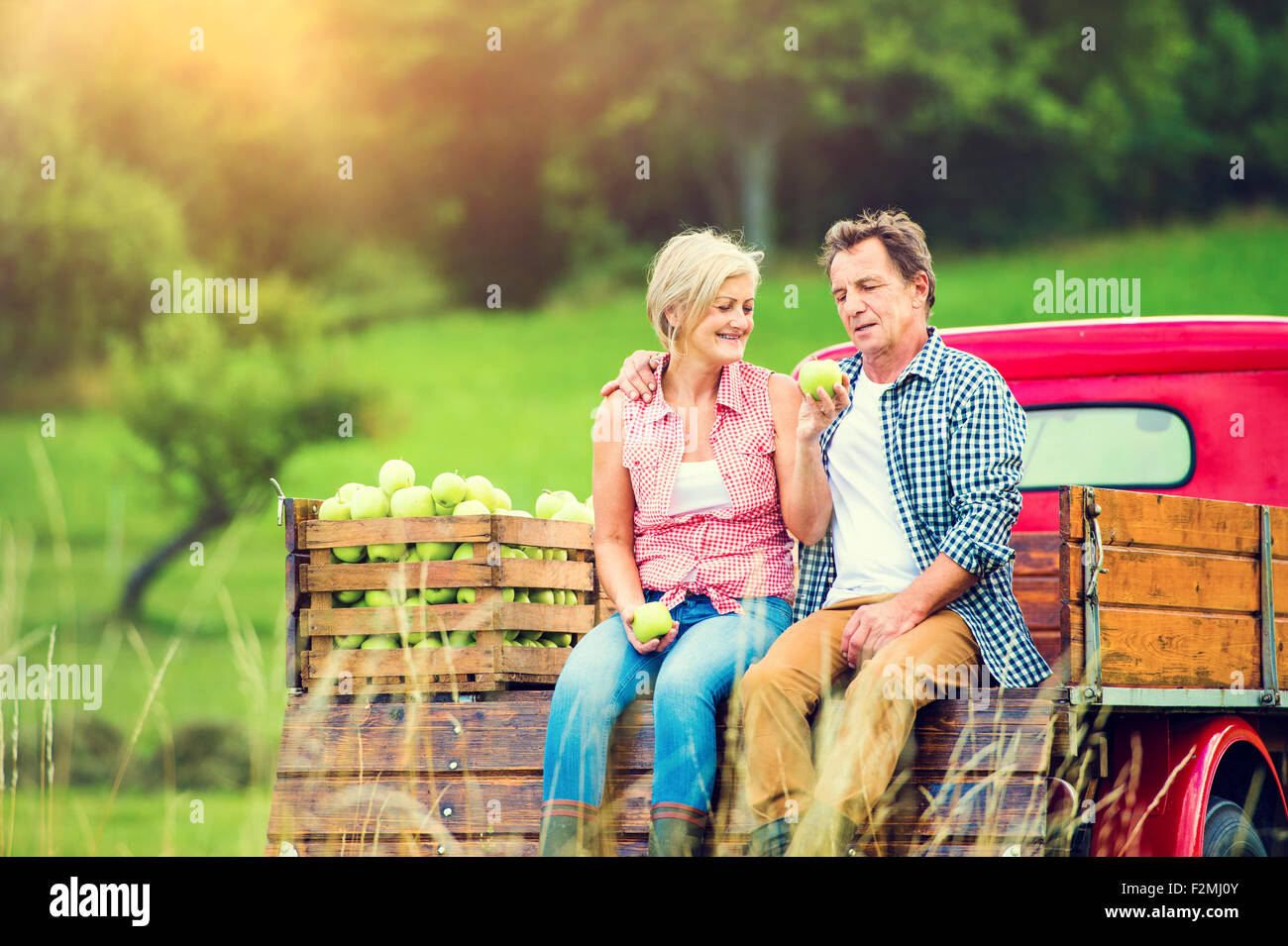 Couple assis dans un camion après la récolte des pommes Banque D'Images