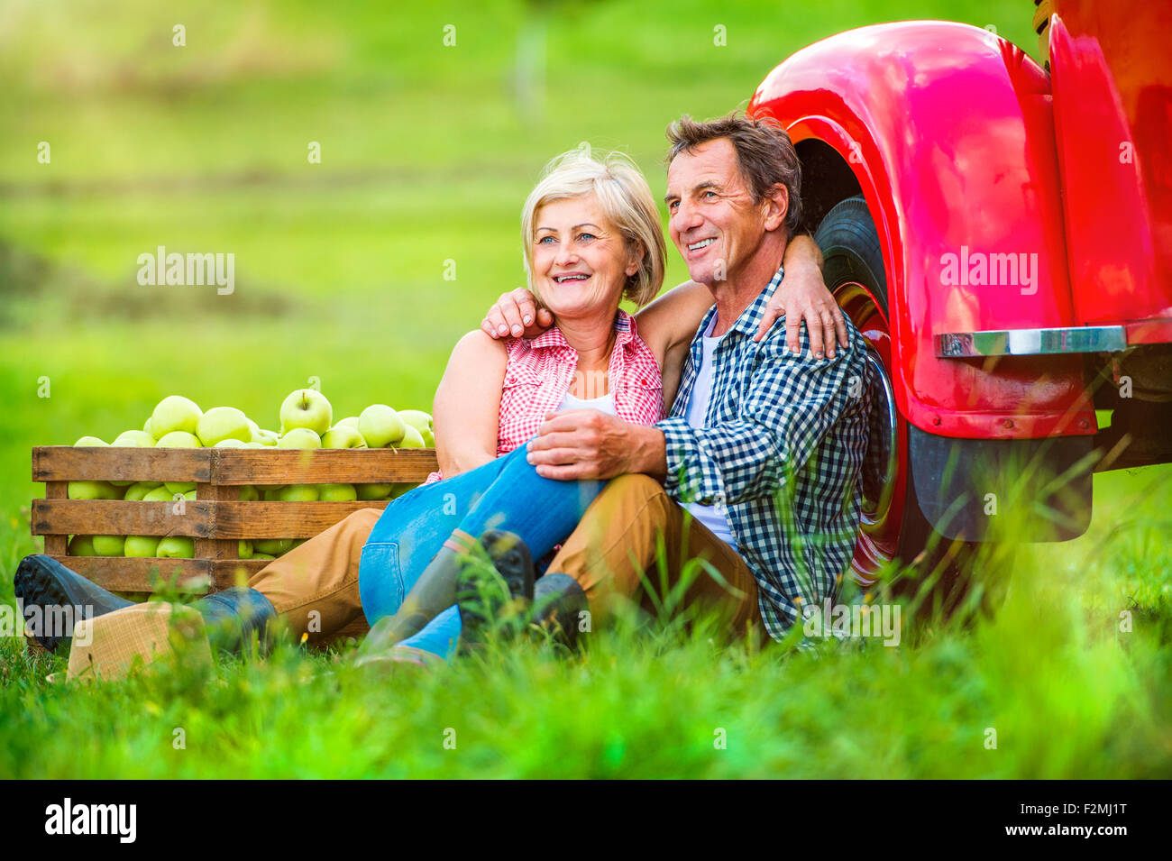 Couple assis à côté du camion rouge après la récolte des pommes Banque D'Images