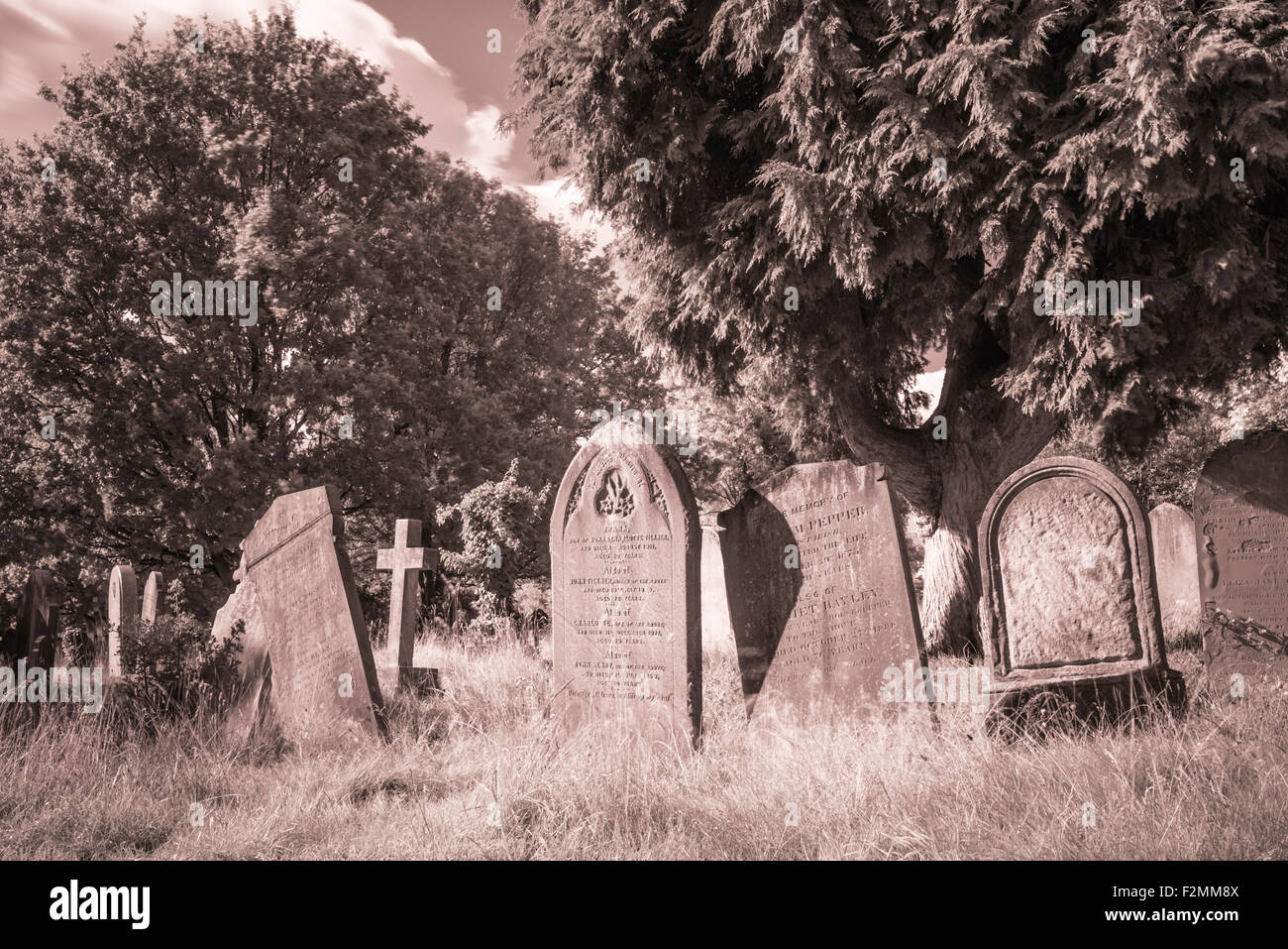Photo infrarouge de Kingston-upon-Thames Cemetery Banque D'Images