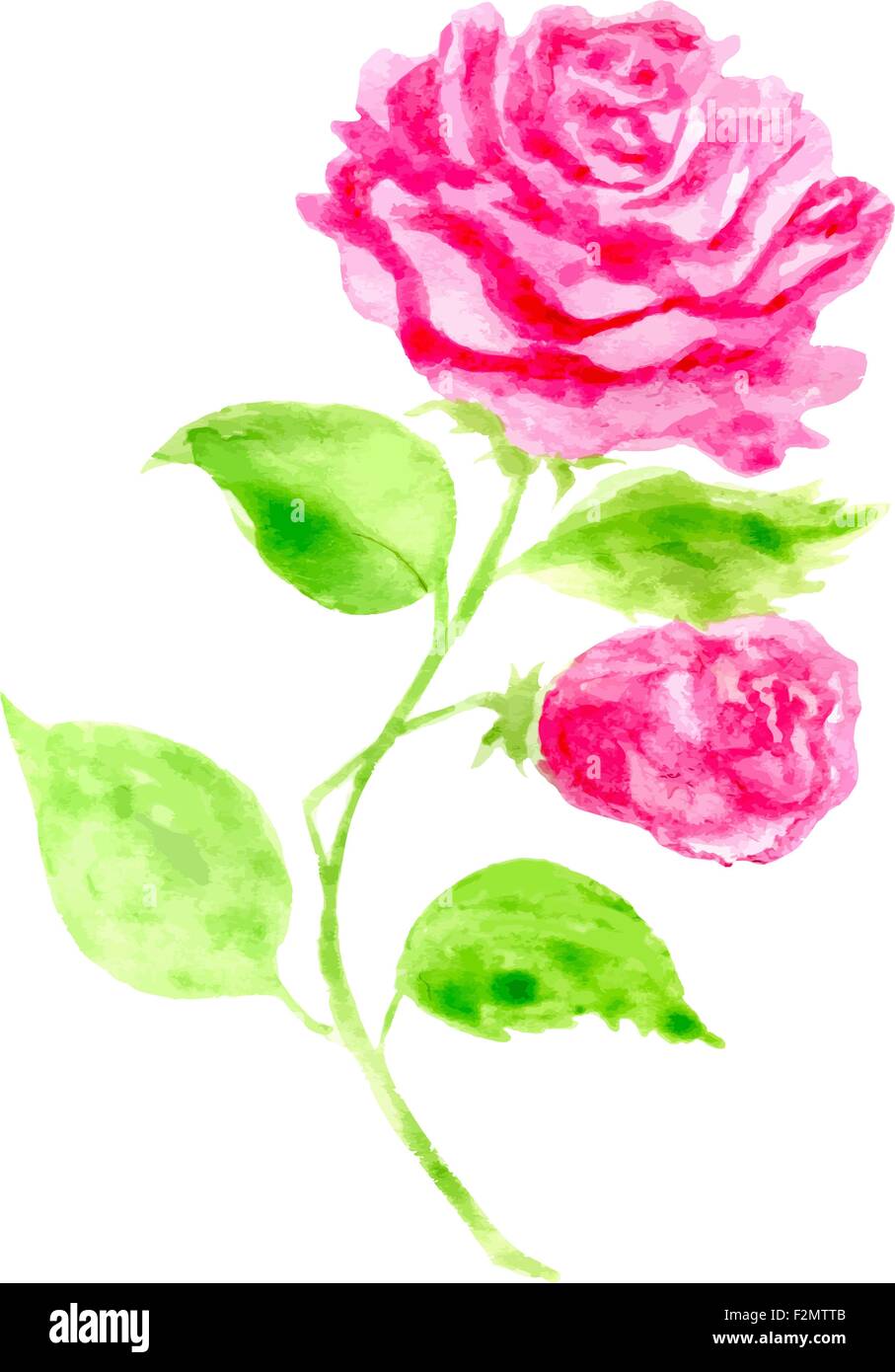 Rose à la main. Vector illustration pour les cartes de vœux, invitations, d'autres projets web et d'impression Illustration de Vecteur