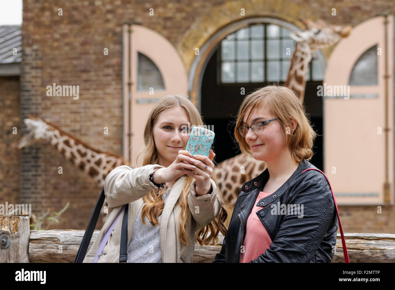 Deux adolescents qui se font autoportrait au ZSL London Zoo, Londres Angleterre Royaume-Uni Banque D'Images