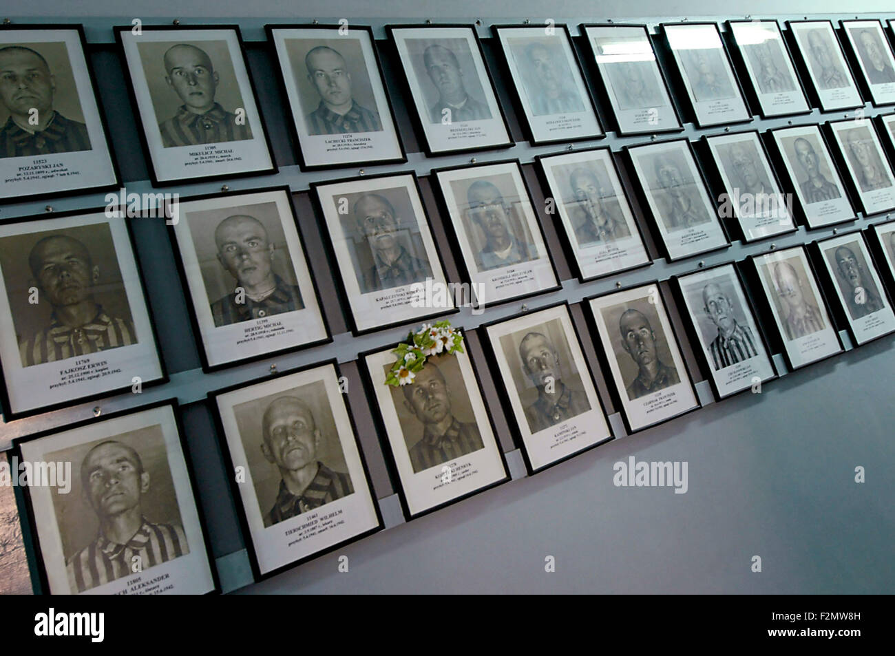 Vue de près horizontal de portraits en noir et blanc de prisonniers accroché sur un mur à Auschwitz, Pologne Banque D'Images