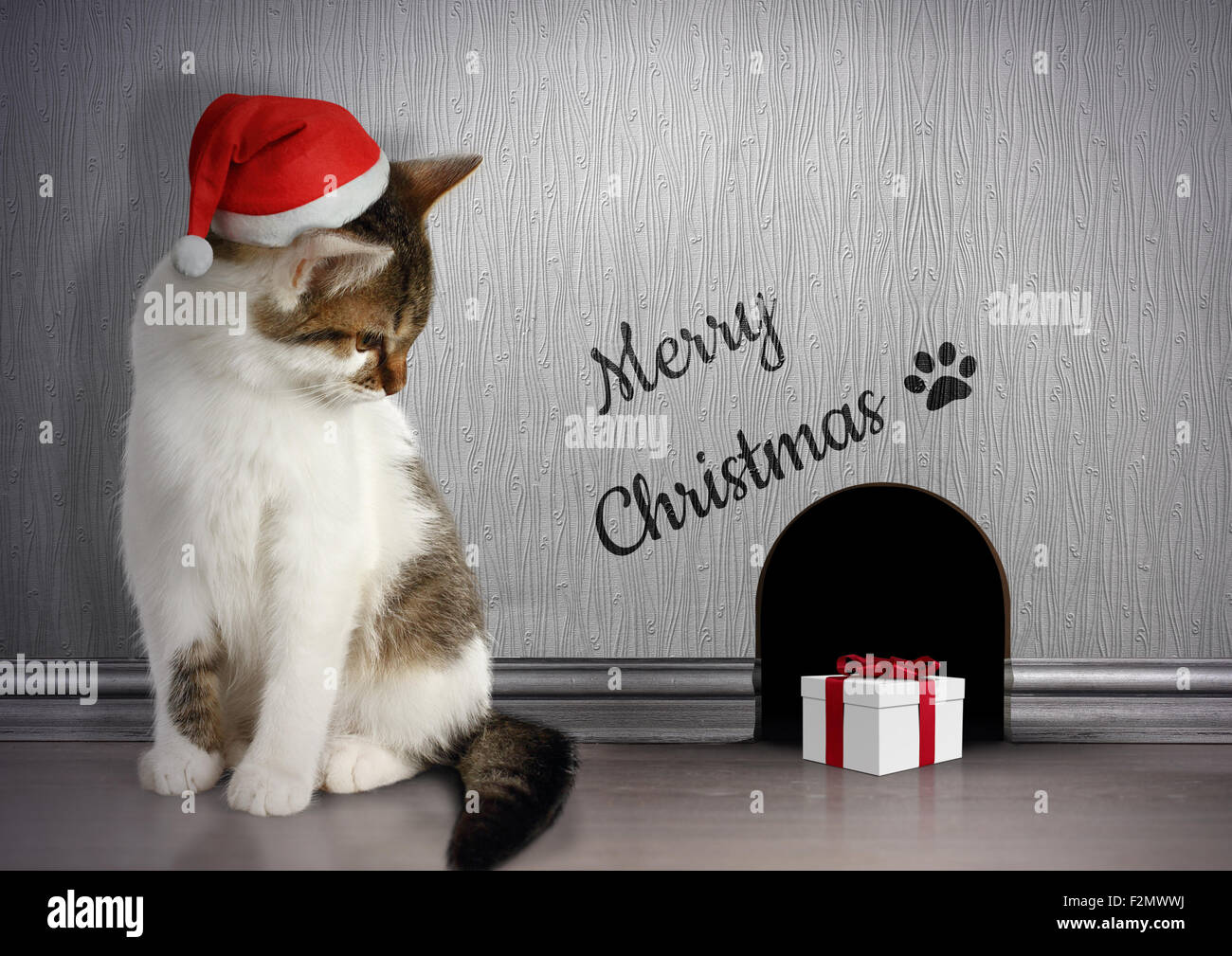 Femmes Noël tabby chats Santa Chapeau Chaussettes BN