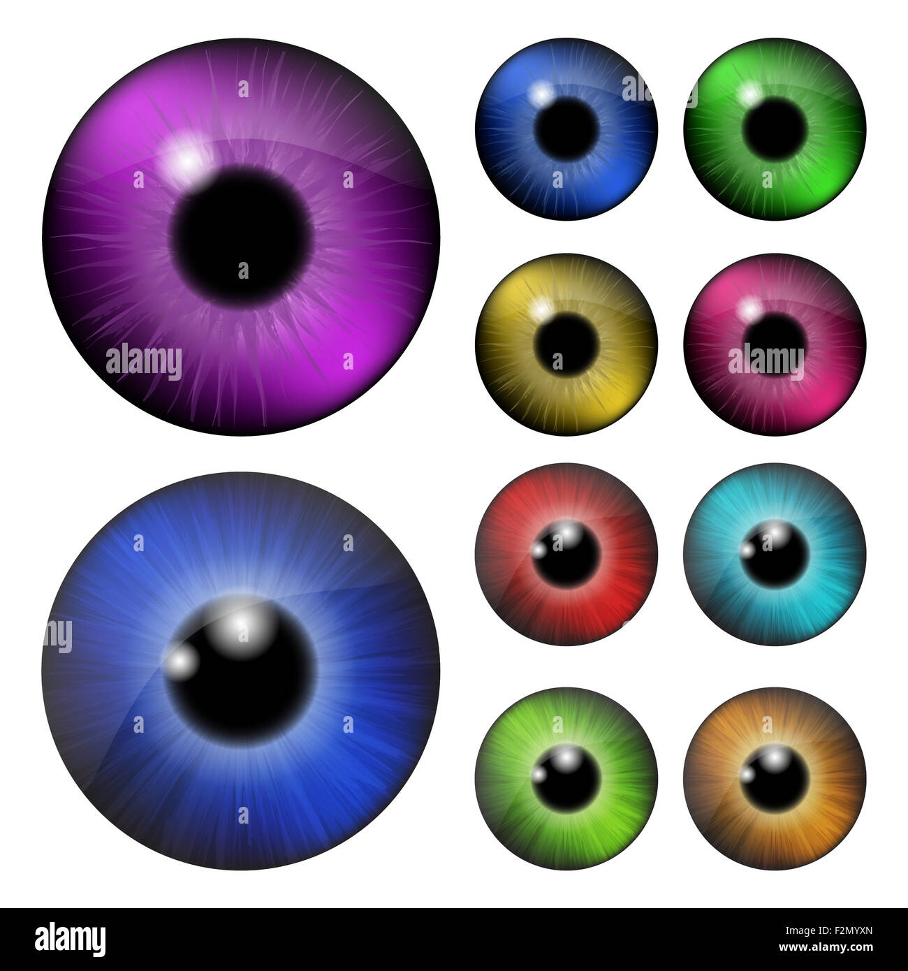 Ensemble de pupille de l'oeil, l'iris, eye ball eye. Vector illustration réaliste isolé sur fond blanc. Banque D'Images