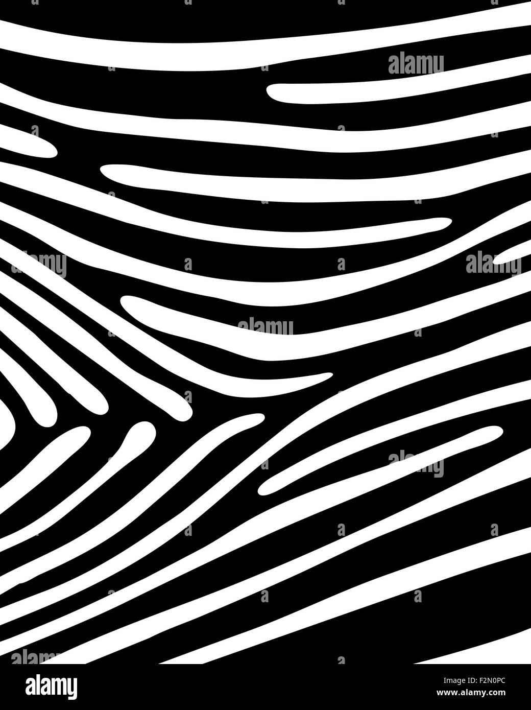 Motif en noir et blanc peau de zèbre, vector Banque D'Images
