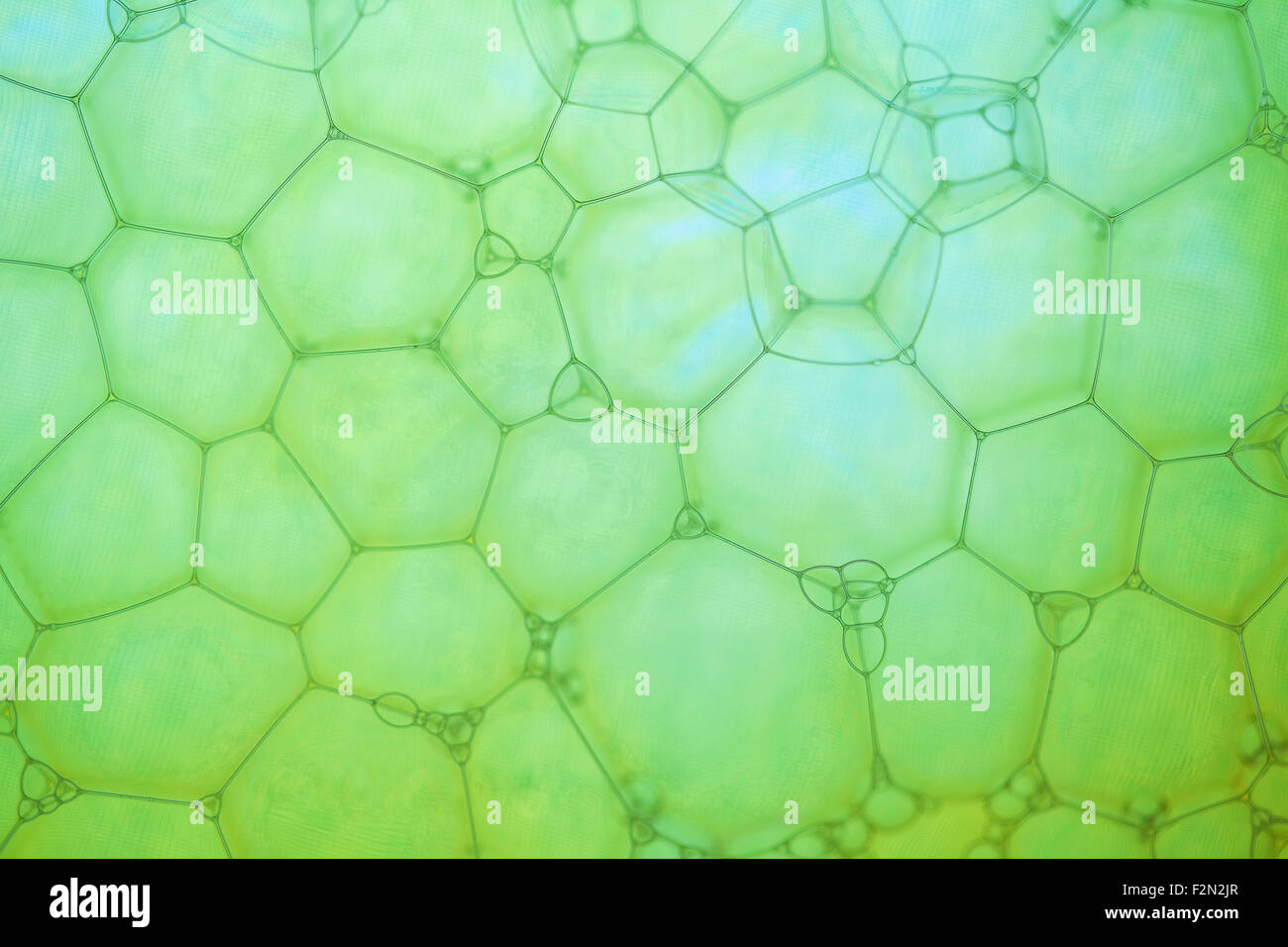 Résumé fond hexagonal avec des formes géométriques. Des bulles de savon gros plan extrême. Banque D'Images