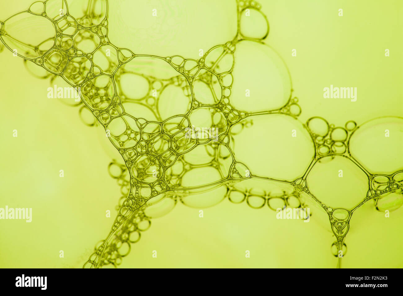 Créer des bulles de savon sphérique en complexes qui lime green. Banque D'Images