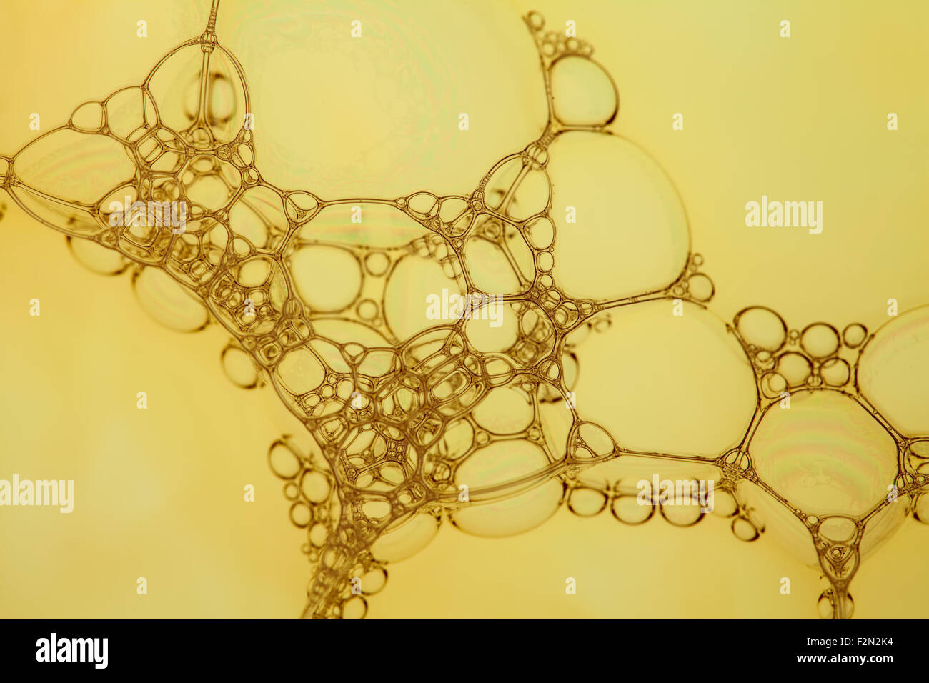 Créer des bulles de savon sphérique à la lumière complexes qui brown Banque D'Images
