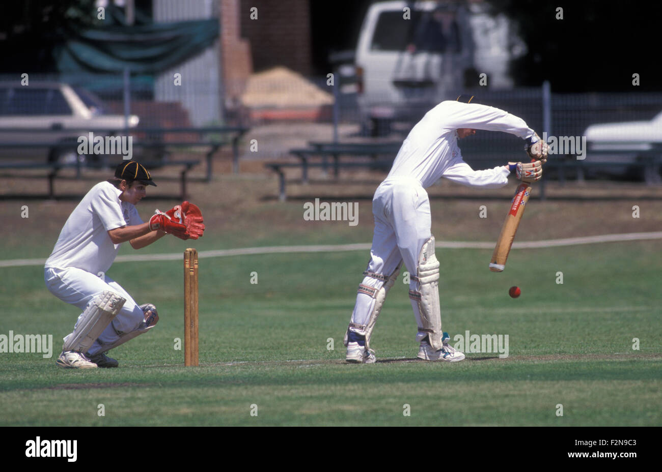Jeu de cricket en cours, New South Wales, Australie Banque D'Images