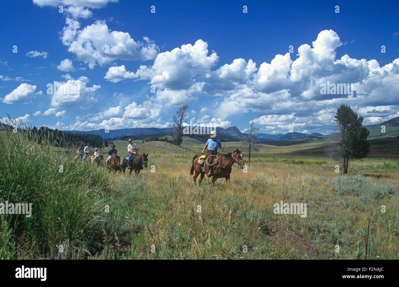 Les cavaliers à Tower Junction, le Parc National de Yellowstone, Wyoming, USA. Banque D'Images