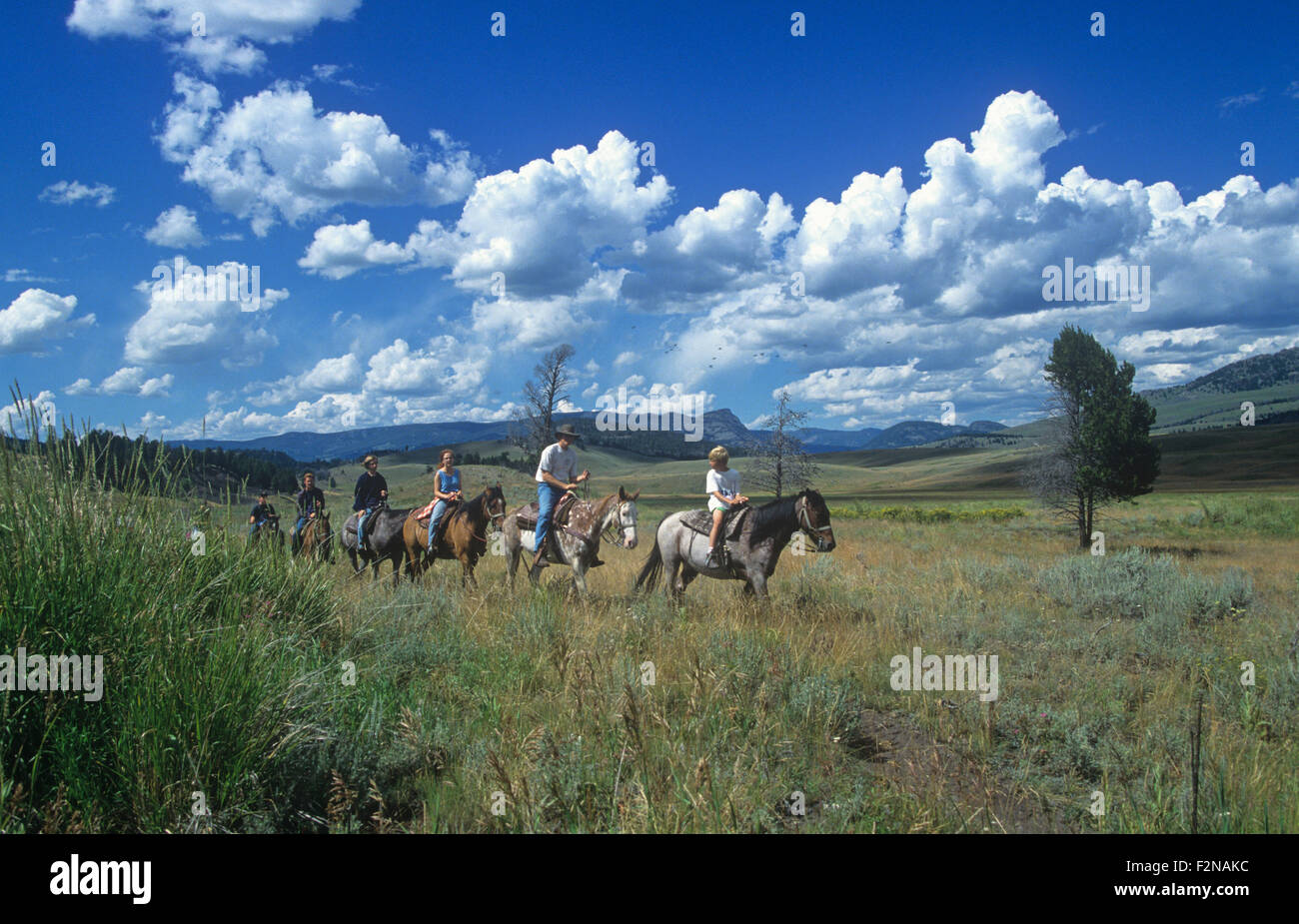 Les cavaliers à Tower Junction, le Parc National de Yellowstone, Wyoming, USA. Banque D'Images