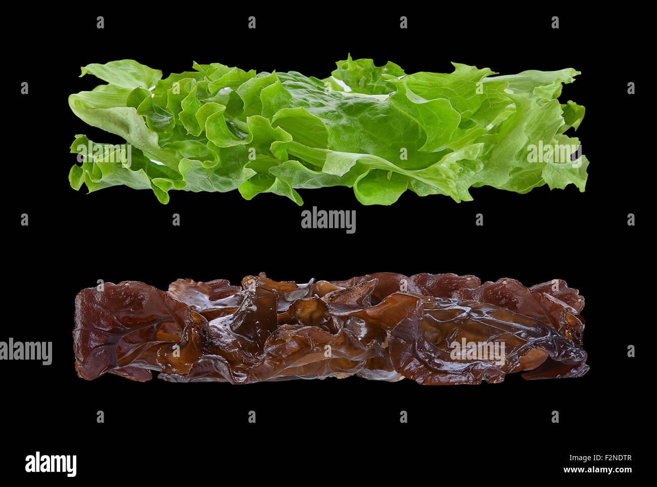 Herb et salade de chou noir isolé sur la mer Banque D'Images