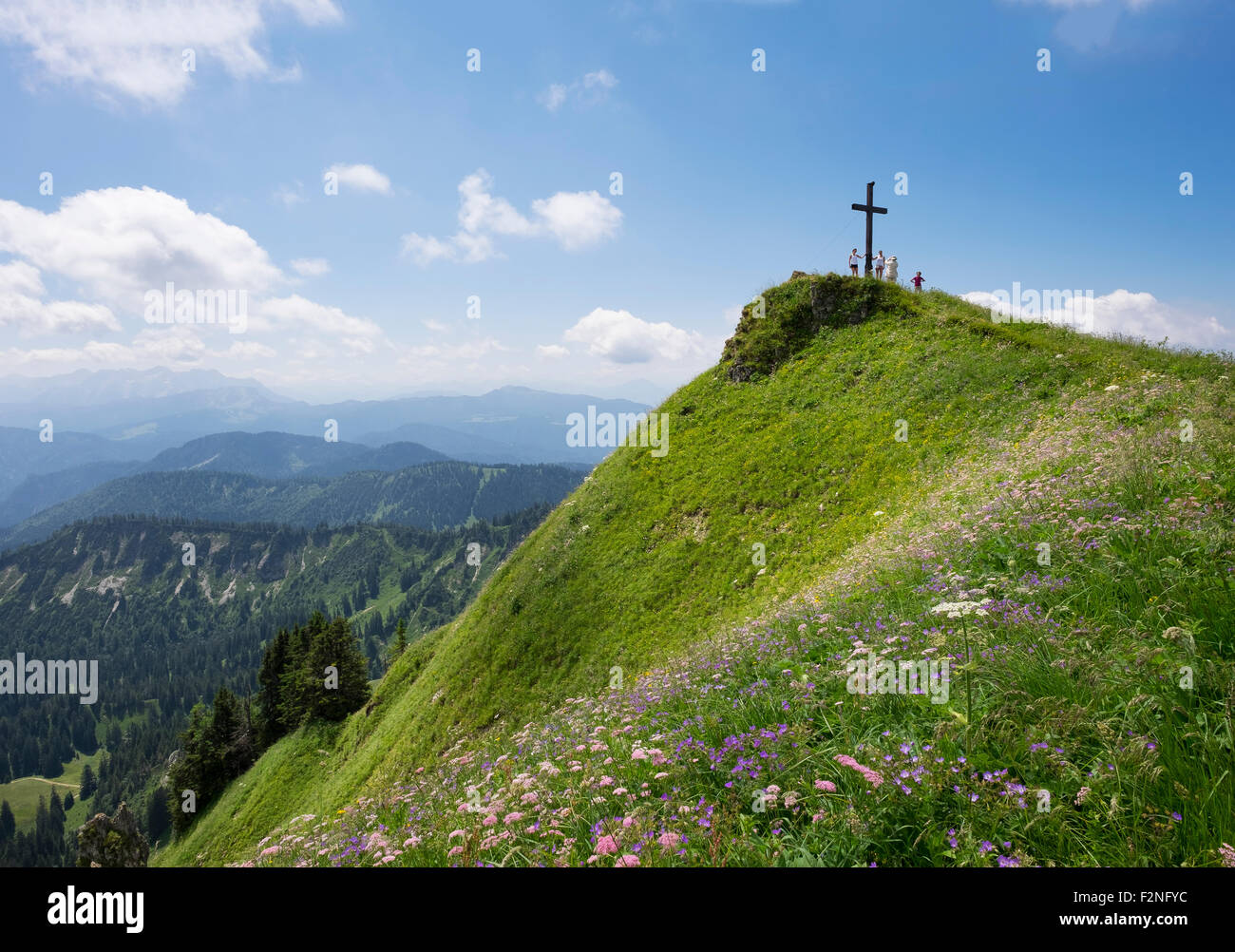 Sommet cross et fleurs de montagne sur la montagne, Hochgern Unterwössen, Alpes de Chiemgau, Upper Bavaria, Bavaria, Germany Banque D'Images