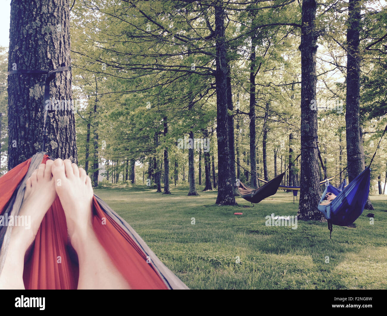 Caucasian woman laying in hammock in forest - Image de stock capturée avec un smartphone