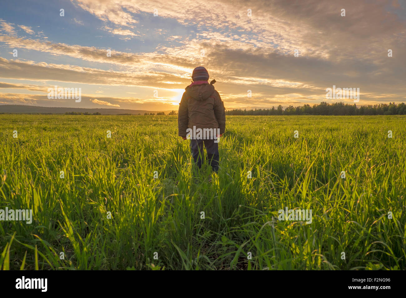 Mari boy admiring sunset in rural field Banque D'Images