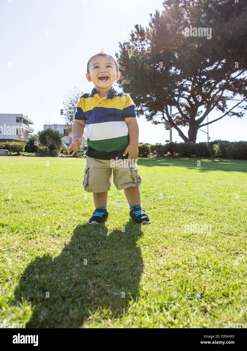 Hispanic boy standing on grass in park Banque D'Images